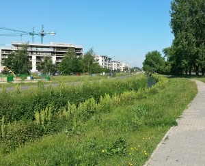 Nieruchomość gruntowa i budowlana