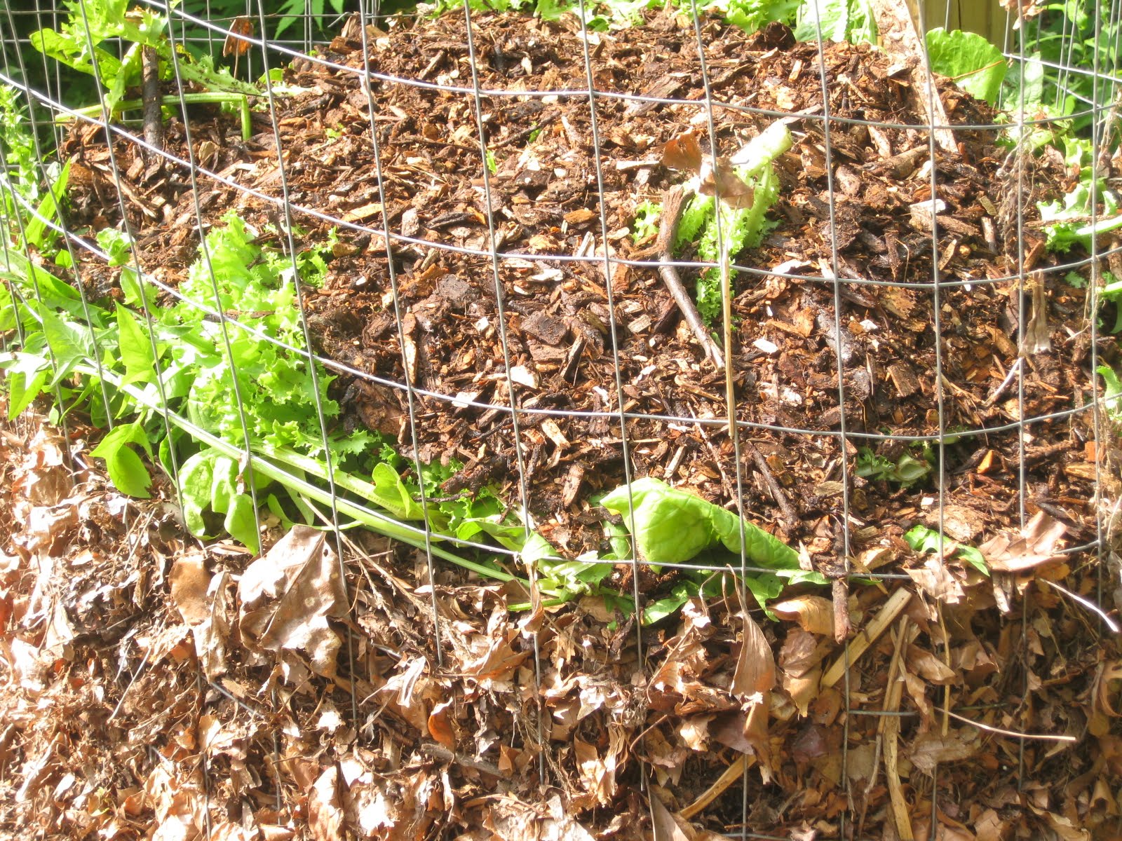 ziemia-polska-kompostownia-6