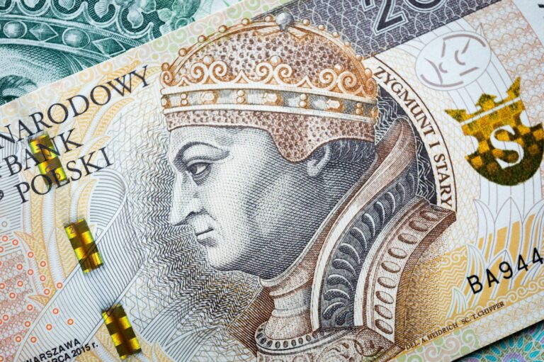 Zakup nieruchomości na licytacji komorniczej: jak eksmitować lokatora i oszacować ryzyko